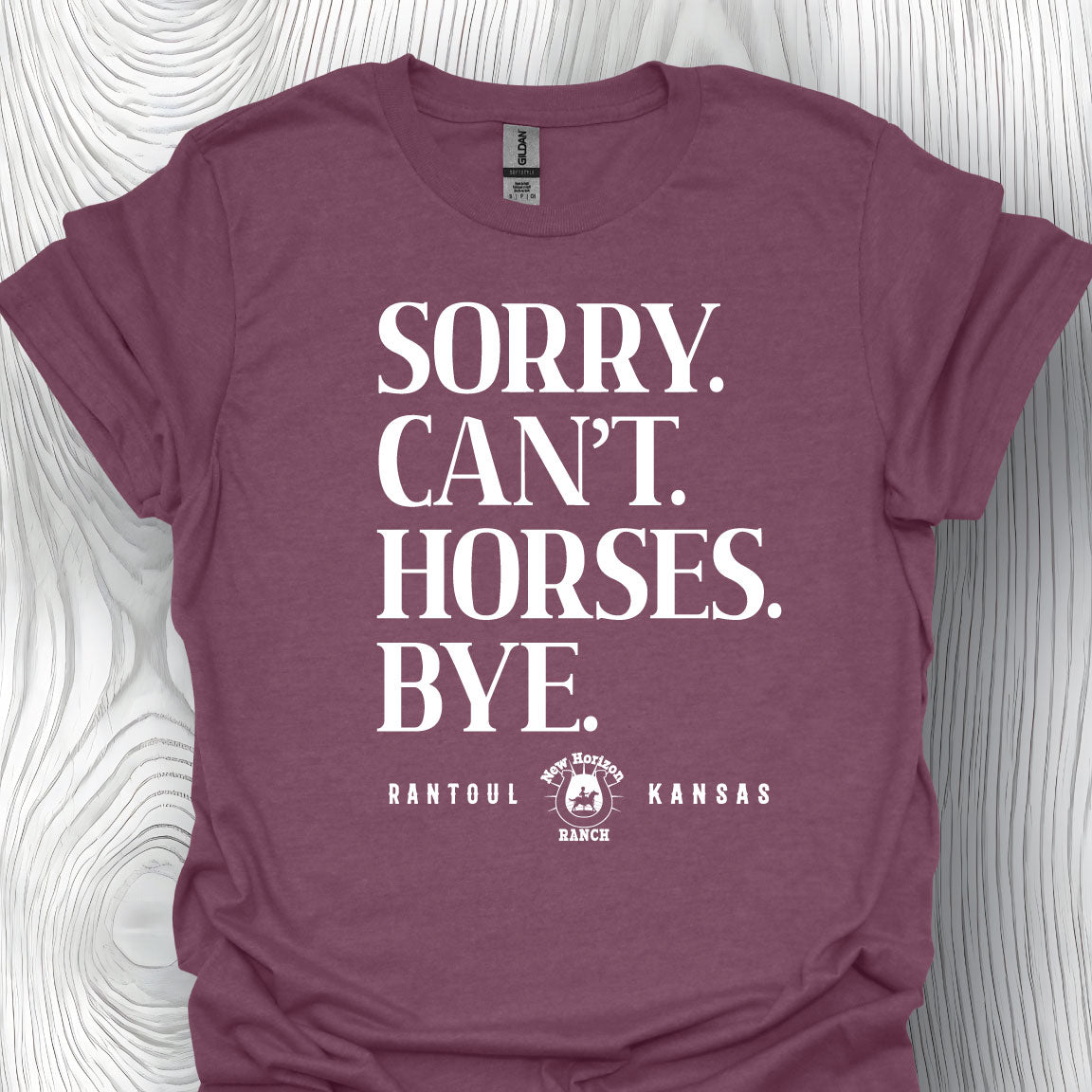 New Horizon Ranch - Sorry. Horses. Maroon