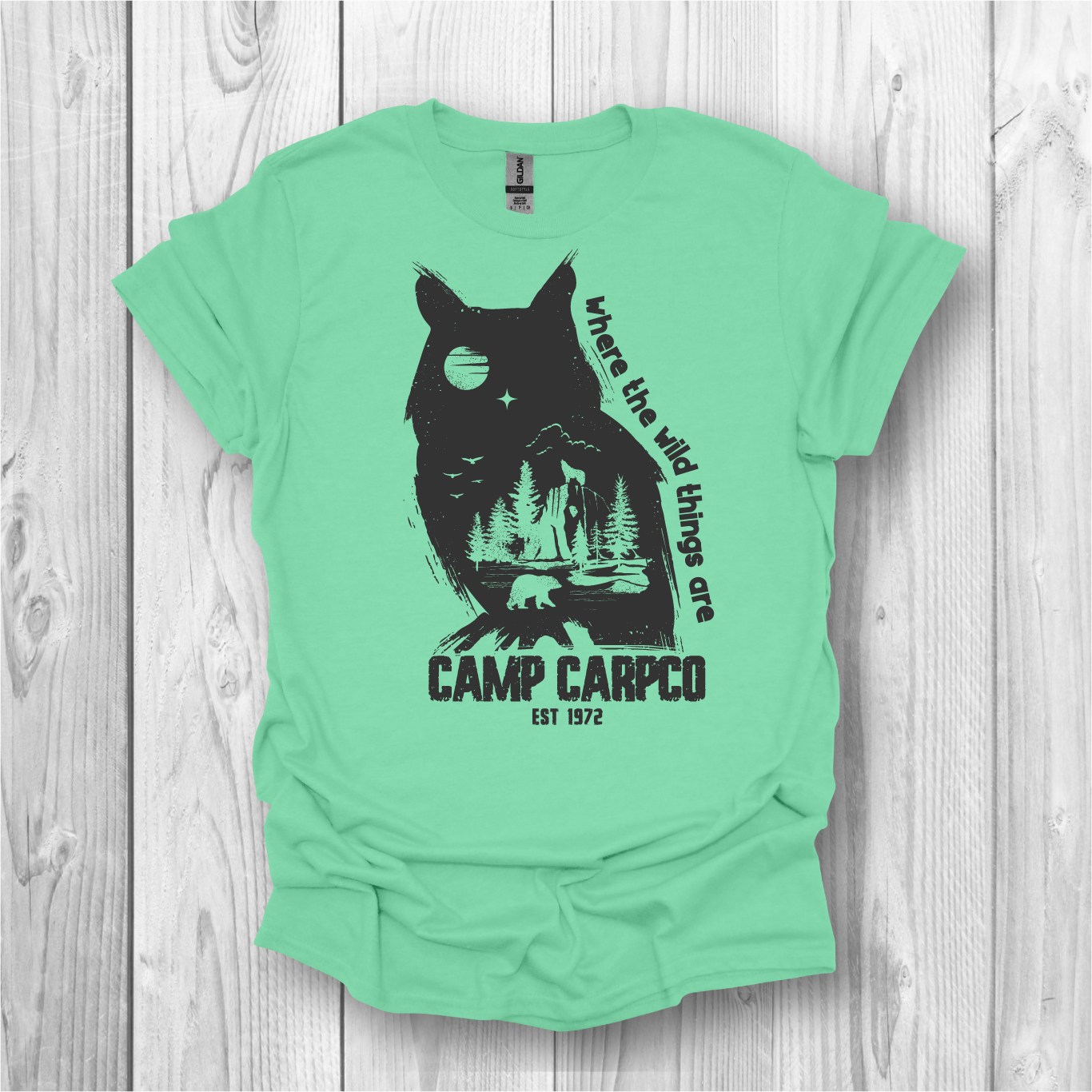 Camp CarpCo Owl - Mint Tee